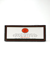 Load image into Gallery viewer, EFE Plaxton Coach SOUTH WEST N.B.C. 15701